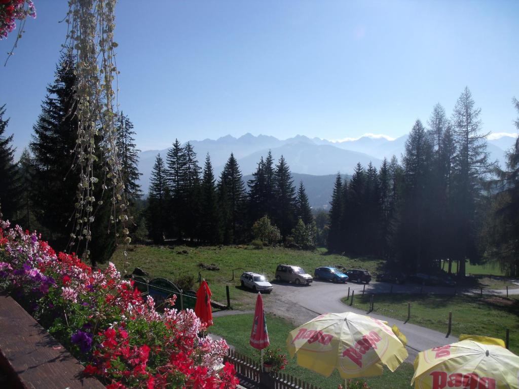 Gasthof Edelbrunn Ξενοδοχείο Ramsau am Dachstein Εξωτερικό φωτογραφία