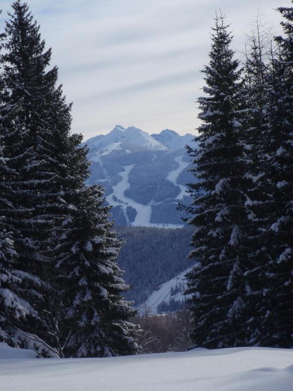 Gasthof Edelbrunn Ξενοδοχείο Ramsau am Dachstein Εξωτερικό φωτογραφία